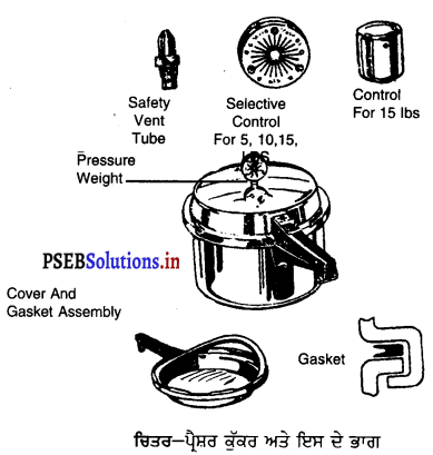 PSEB 9th Class Home Science Solutions Chapter 5 ਘਰ ਦਾ ਸਾਮਾਨ 16