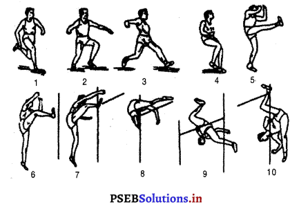 ਐਥਲੈਟਿਕਸ (Athletics) Game Rules – PSEB 10th Class Physical Education 14
