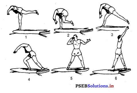 ਐਥਲੈਟਿਕਸ (Athletics) Game Rules – PSEB 10th Class Physical Education 22