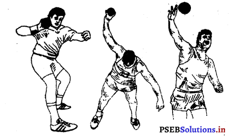 ਐਥਲੈਟਿਕਸ (Athletics) Game Rules – PSEB 10th Class Physical Education 23