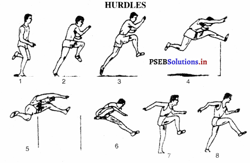 ਐਥਲੈਟਿਕਸ (Athletics) Game Rules – PSEB 10th Class Physical Education 9