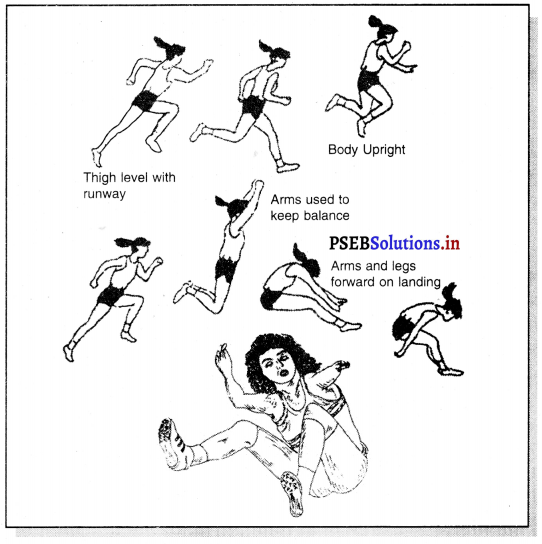 ਐਥਲੈਟਿਕਸ (Athletics) Game Rules – PSEB 11th Class Physical Education 11
