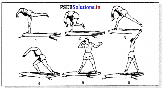 ਐਥਲੈਟਿਕਸ (Athletics) Game Rules – PSEB 11th Class Physical Education 16