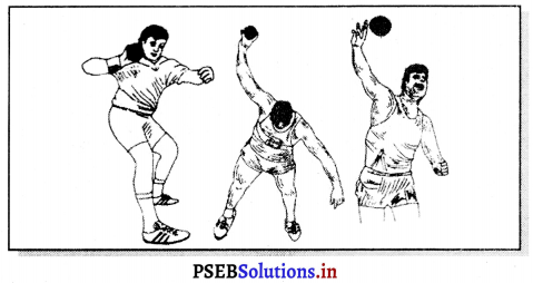 ਐਥਲੈਟਿਕਸ (Athletics) Game Rules – PSEB 11th Class Physical Education 17