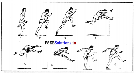 ਐਥਲੈਟਿਕਸ (Athletics) Game Rules – PSEB 11th Class Physical Education 7