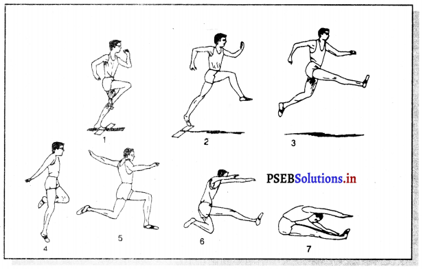 ਐਥਲੈਟਿਕਸ (Athletics) Game Rules – PSEB 11th Class Physical Education 9