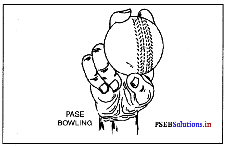 ਕ੍ਰਿਕਟ (Cricket) Game Rules – PSEB 10th Class Physical Education 1
