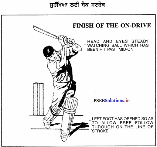 ਕ੍ਰਿਕਟ (Cricket) Game Rules – PSEB 10th Class Physical Education 10