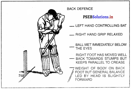 ਕ੍ਰਿਕਟ (Cricket) Game Rules – PSEB 10th Class Physical Education 11