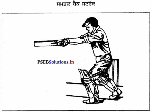 ਕ੍ਰਿਕਟ (Cricket) Game Rules – PSEB 10th Class Physical Education 12