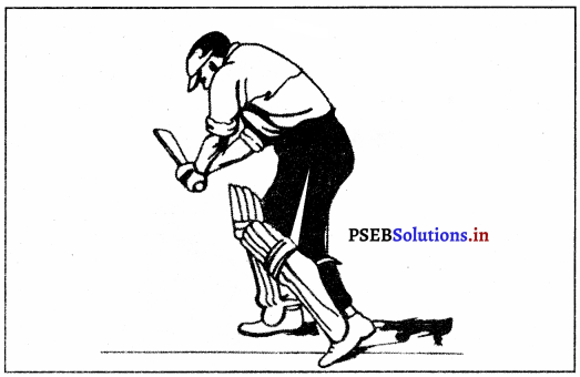 ਕ੍ਰਿਕਟ (Cricket) Game Rules – PSEB 10th Class Physical Education 13