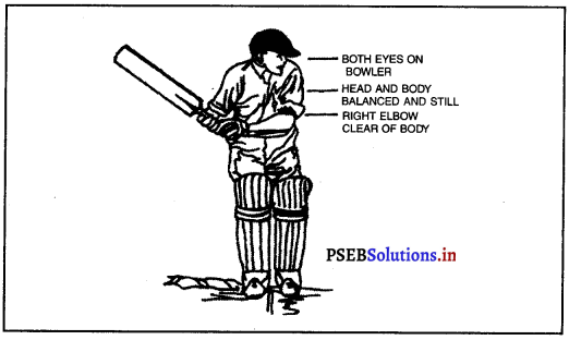 ਕ੍ਰਿਕਟ (Cricket) Game Rules – PSEB 10th Class Physical Education 6