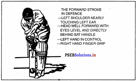 ਕ੍ਰਿਕਟ (Cricket) Game Rules – PSEB 10th Class Physical Education 7