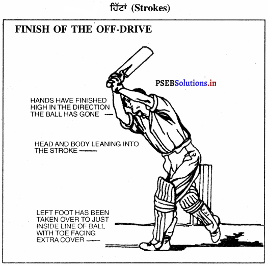 ਕ੍ਰਿਕਟ (Cricket) Game Rules – PSEB 10th Class Physical Education 8