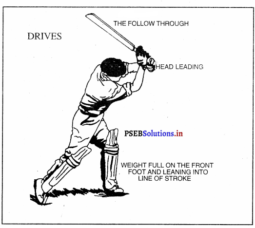 ਕ੍ਰਿਕਟ (Cricket) Game Rules – PSEB 10th Class Physical Education 9