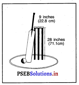 ਕ੍ਰਿਕੇਟ (Cricket) Game Rules – PSEB 12th Class Physical Education 1