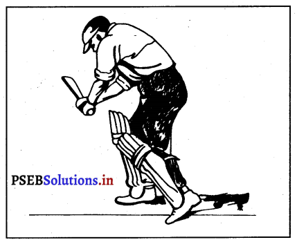 ਕ੍ਰਿਕੇਟ (Cricket) Game Rules – PSEB 12th Class Physical Education 10