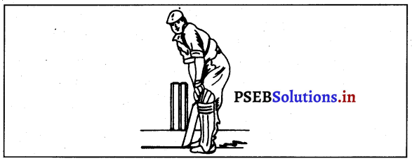 ਕ੍ਰਿਕੇਟ (Cricket) Game Rules – PSEB 12th Class Physical Education 4
