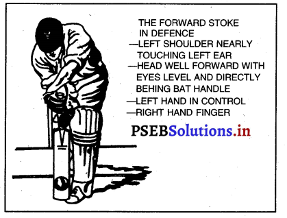 ਕ੍ਰਿਕੇਟ (Cricket) Game Rules – PSEB 12th Class Physical Education 6