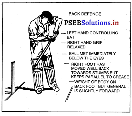 ਕ੍ਰਿਕੇਟ (Cricket) Game Rules – PSEB 12th Class Physical Education 8