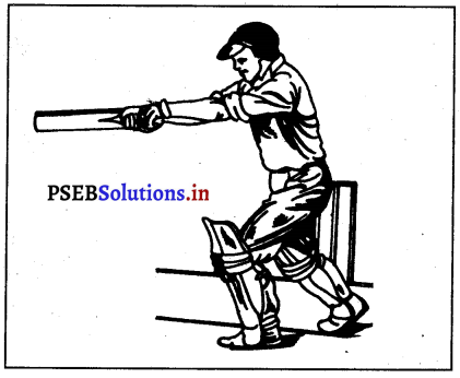 ਕ੍ਰਿਕੇਟ (Cricket) Game Rules – PSEB 12th Class Physical Education 9