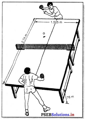 ਟੇਬਲ ਟੈਨਿਸ (Table Tennis) Game Rules – PSEB 11th Class Physical Education 1