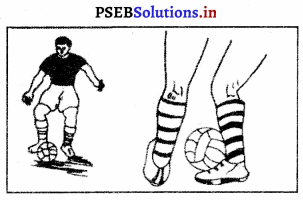 ਫੁਟਬਾਲ (FootBall) Game Rules – PSEB 10th Class Physical Education 5