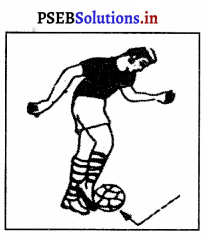 ਫੁਟਬਾਲ (FootBall) Game Rules – PSEB 10th Class Physical Education 6