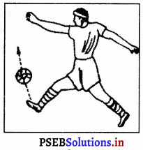 ਫੁਟਬਾਲ (FootBall) Game Rules – PSEB 10th Class Physical Education 7
