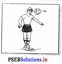 ਫੁਟਬਾਲ (Football) Game Rules – PSEB 11th Class Physical Education 11