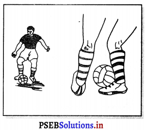 ਫੁਟਬਾਲ (Football) Game Rules – PSEB 11th Class Physical Education 6