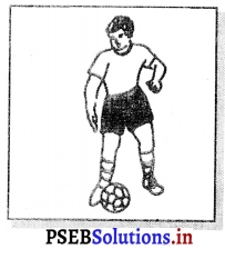 ਫੁਟਬਾਲ (Football) Game Rules – PSEB 11th Class Physical Education 9