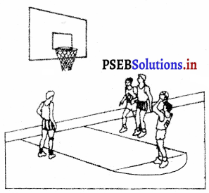 ਬਾਸਕਟ ਬਾਲ (Basket Ball) Game Rules – PSEB 10th Class Physical Education 5