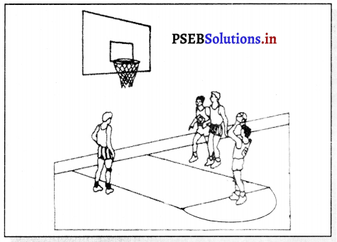 ਬਾਸਕਟ ਬਾਲ (Basket Ball) Game Rules – PSEB 11th Class Physical Education 5