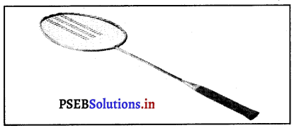 ਬੈਡਮਿੰਟਨ (Badminton) Game Rules – PSEB 12th Class Physical Education 3