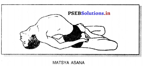 ਯੋਗ (Yoga) Game Rules – PSEB 10th Class Physical Education 10