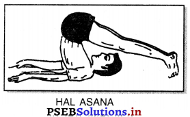 ਯੋਗ (Yoga) Game Rules – PSEB 10th Class Physical Education 11