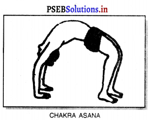 ਯੋਗ (Yoga) Game Rules – PSEB 10th Class Physical Education 14