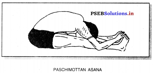 ਯੋਗ (Yoga) Game Rules – PSEB 10th Class Physical Education 2