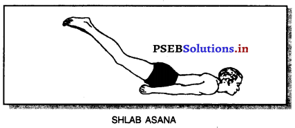 ਯੋਗ (Yoga) Game Rules – PSEB 10th Class Physical Education 4