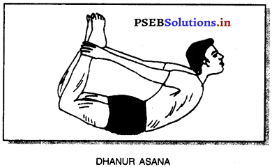 ਯੋਗ (Yoga) Game Rules – PSEB 10th Class Physical Education 5