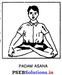 ਯੋਗ (Yoga) Game Rules – PSEB 10th Class Physical Education 7