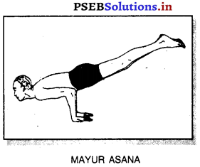 ਯੋਗ (Yoga) Game Rules – PSEB 10th Class Physical Education 8