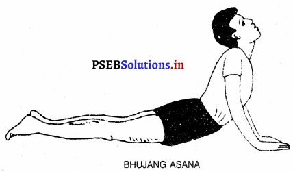 ਯੋਗਿਕ ਕਸਰਤਾਂ ਜਾਂ ਆਸਨ (Yogic Exercies or Asans) Game Rules – PSEB 10th Class Physical Education 2