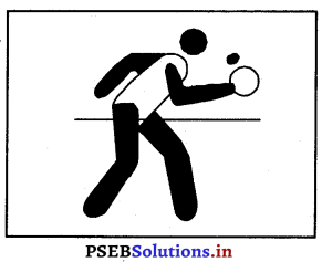 ਲਾਨ ਟੈਨਿਸ (Lawn Tennis) Game Rules – PSEB 12th Class Physical Education 1