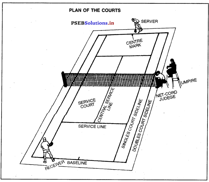 ਲਾਨ ਟੈਨਿਸ (Lawn Tennis) Game Rules – PSEB 12th Class Physical Education 3