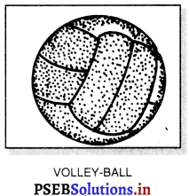 ਵਾਲੀਬਾਲ (Volley Ball) Game Rules – PSEB 11th Class Physical Education 4