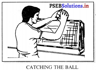 ਹੈਂਡਬਾਲ (Handball) Game Rules – PSEB 11th Class Physical Education 4