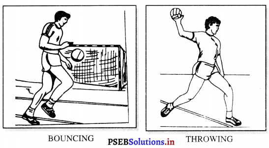 ਹੈਂਡਬਾਲ (Handball) Game Rules – PSEB 11th Class Physical Education 5