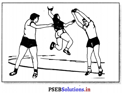 ਹੈਂਡਬਾਲ (Handball) Game Rules – PSEB 11th Class Physical Education 7